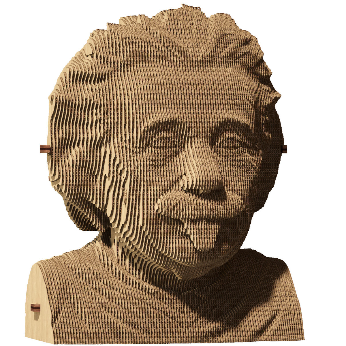 Puzzle 3D 'ALBERT EINSTEIN' | CARTONIC
