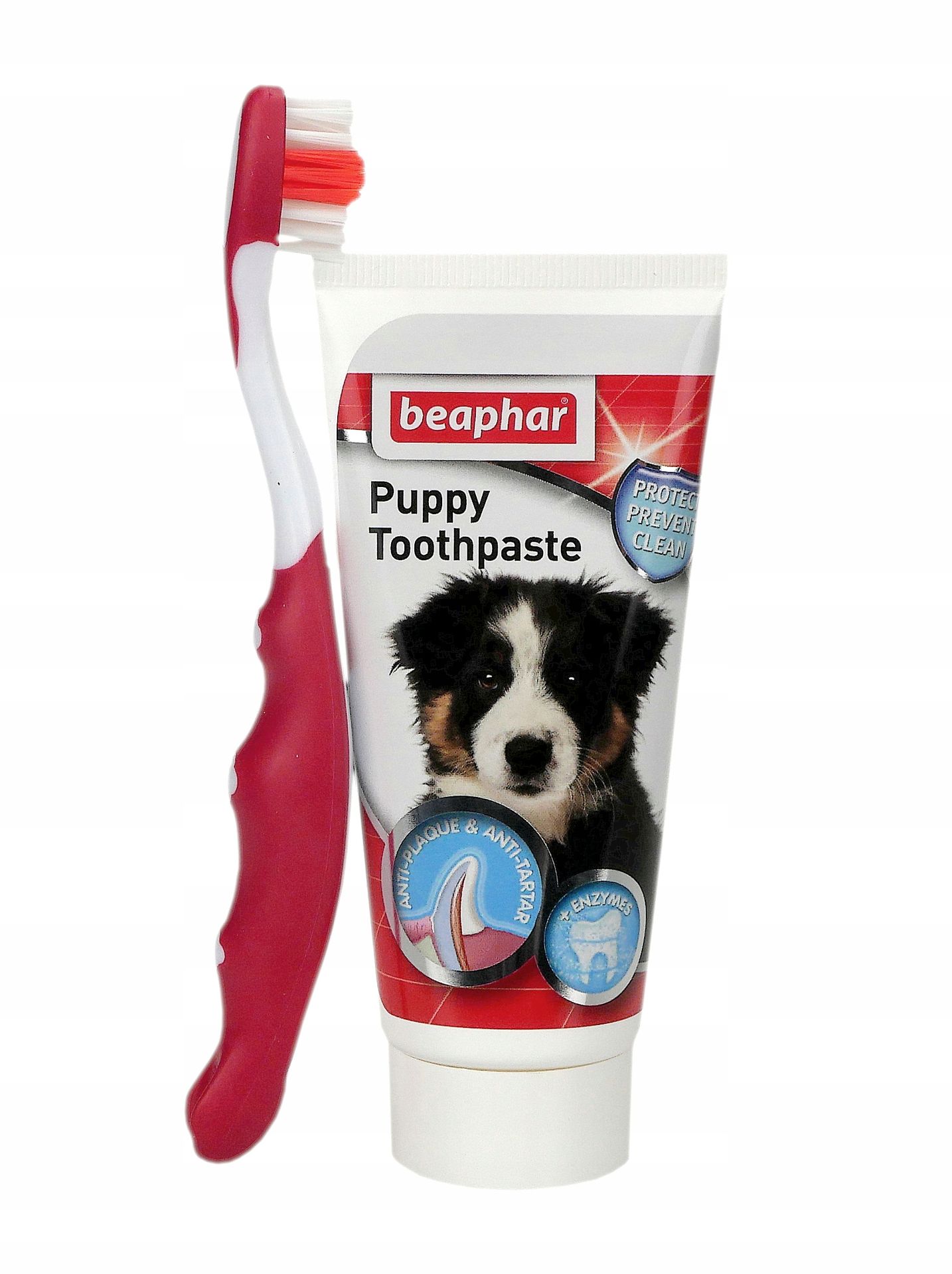 Zdjęcia - Pozostałe artykuły dla zwierząt Beaphar Puppy Dental Kit - szczoteczka i pasta do zębów 50g 