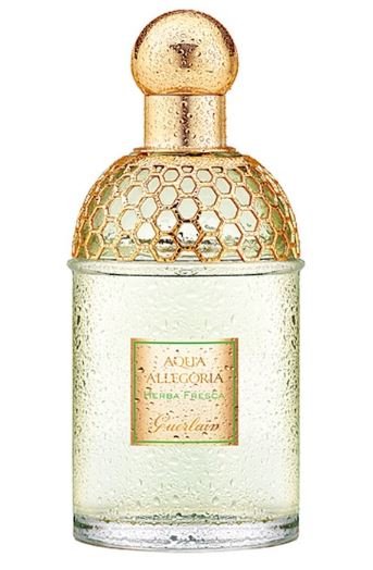 Guerlain Aqua Allegoria Herba Fresca woda toaletowa 125ml