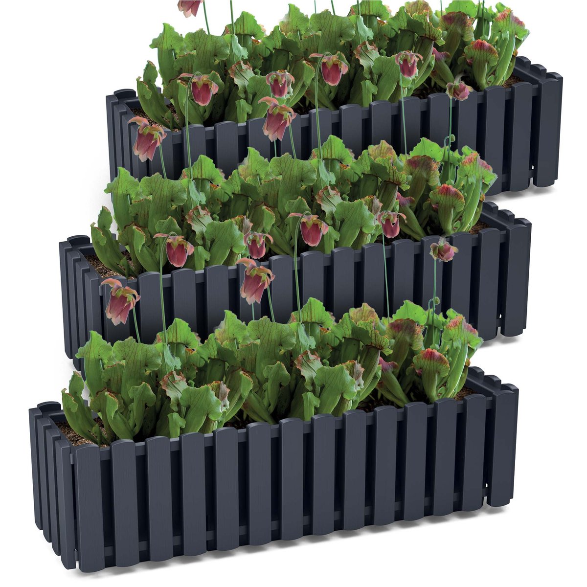 Zestaw 3X Skrzynka Balkonowa Donica Ogrodowa Na Taras Balkon Boardee Fence 58 Cm