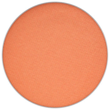 MAC Cosmetics Pro Palette Refill Eyeshadow Matte Rule