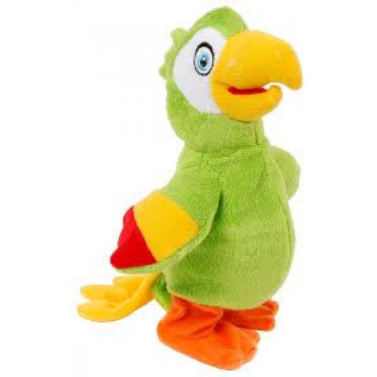 Papuga chodząca powtarzająca