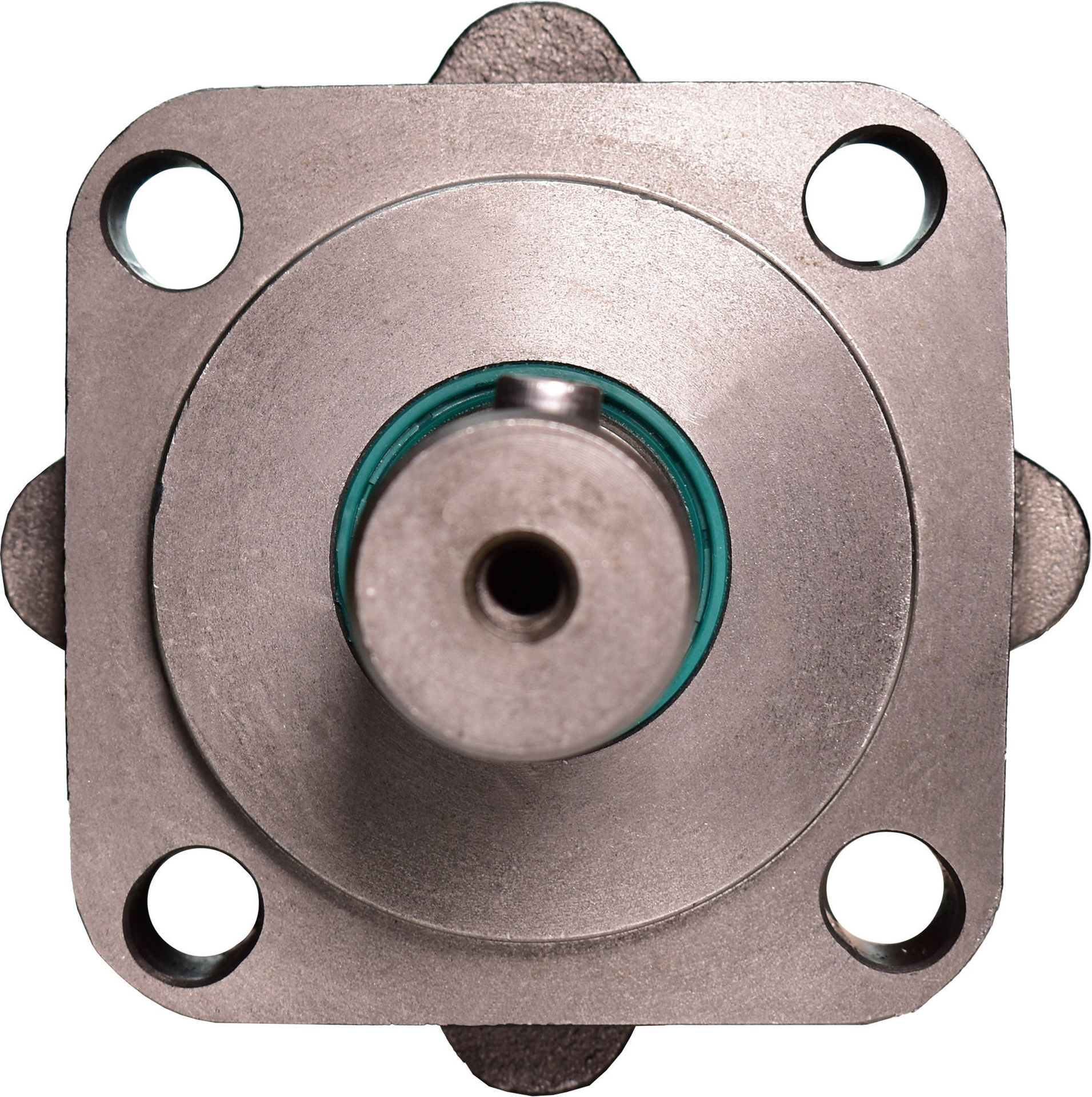 Silnik hydrauliczny Presko BM5AB250BBB, ALSG3, SMS, OMZS, OMSS, BMS, OMS+ nyple