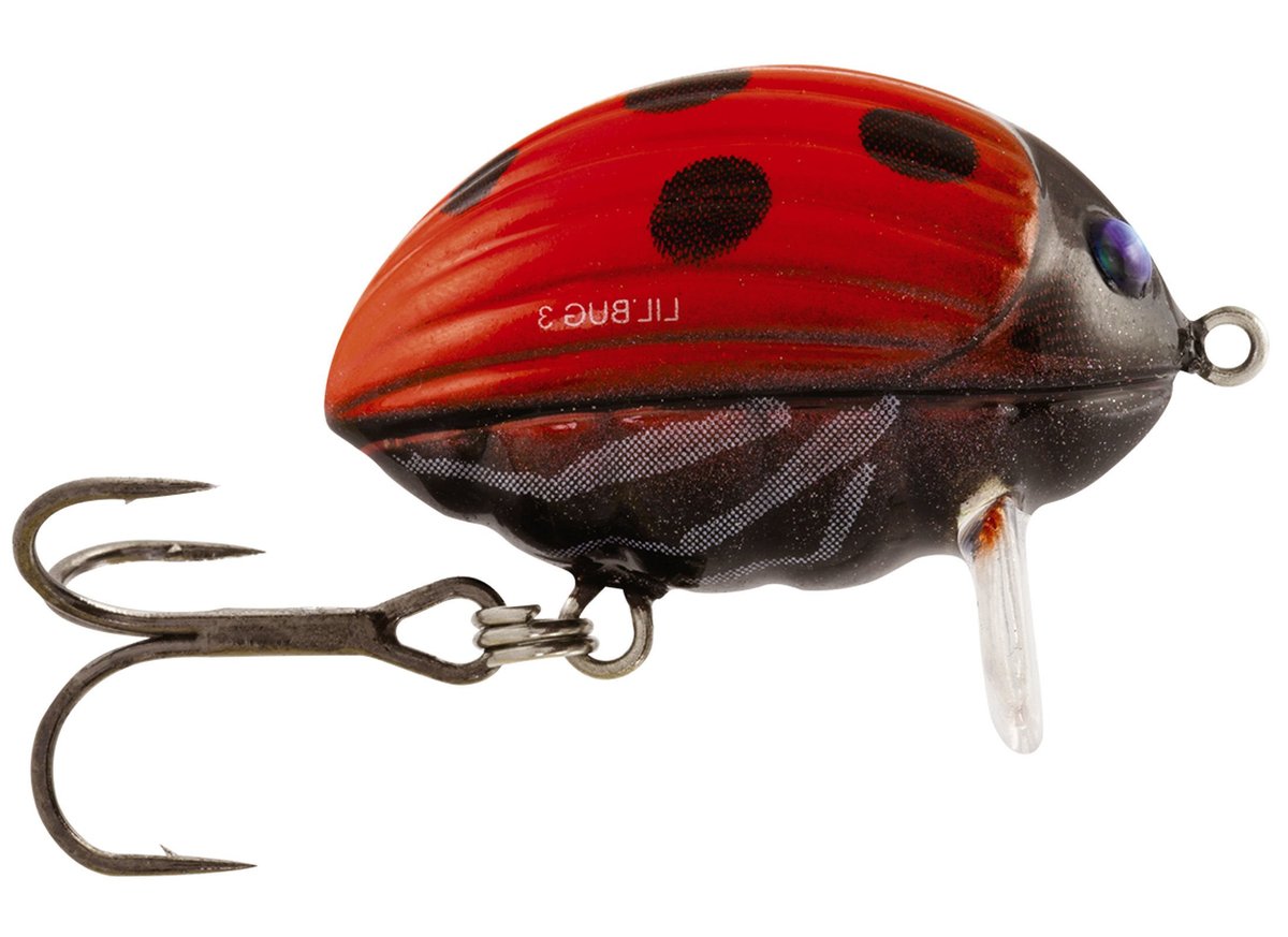 Salmo Wobler Lil'bug Floating 3cm - QBG002