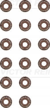 REINZ Zestaw uszczelniaczy, trzonek zaworu 12-53036-01