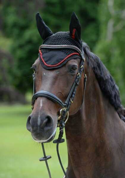 Bucas Nauszniki SPORTS LINE - black/red