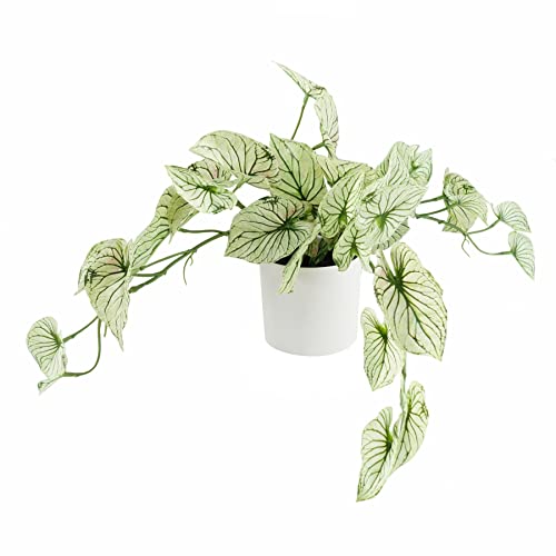 Leaf Design UK Realistyczne sztuczne liście roślina z doniczką