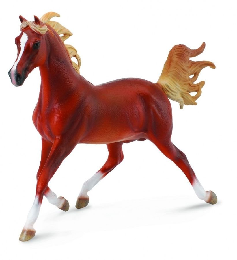 COLLECTA Koń Arabski Kasztan 1:12