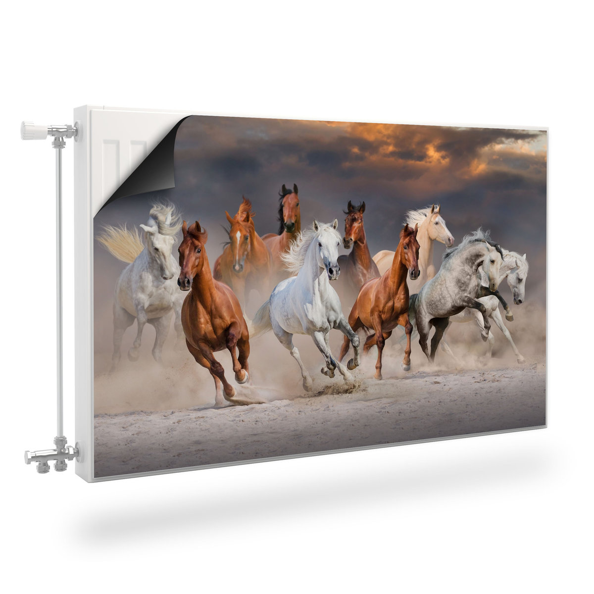 Osłona MAGNETYCZNA Kaloryfera KONIE Pustynia Zwierzęta Dekoracja 90cm x 60cm