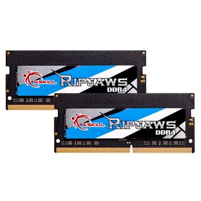 G.Skill 32GB (F4-3200C22D-32GRS)