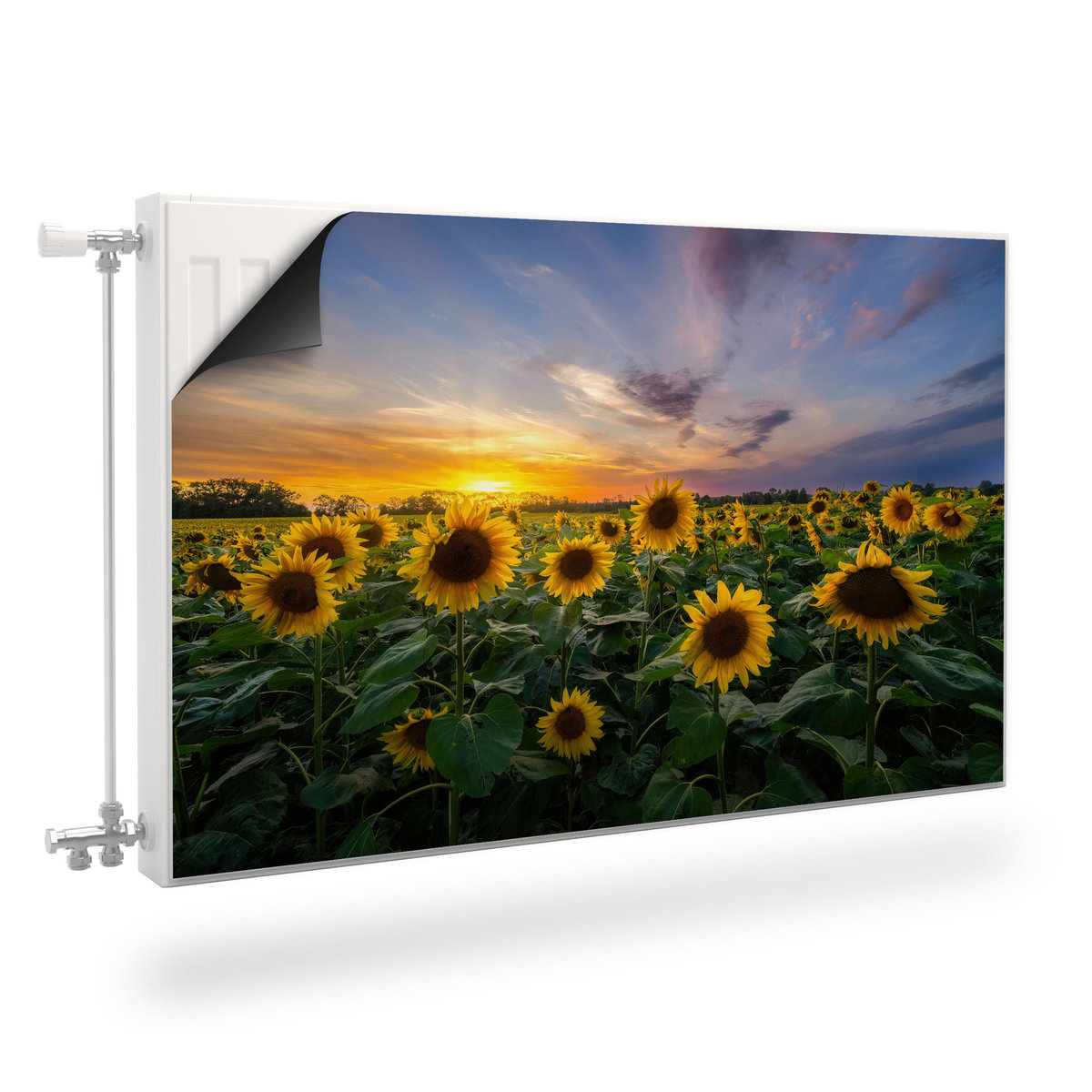 MAGNETYCZNA Mata Grzejnika Pole Słoneczników Natura 90cm x 60cm