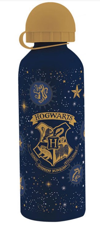 Kids Euroswan, Harry Potter, Bidon, 500 ml