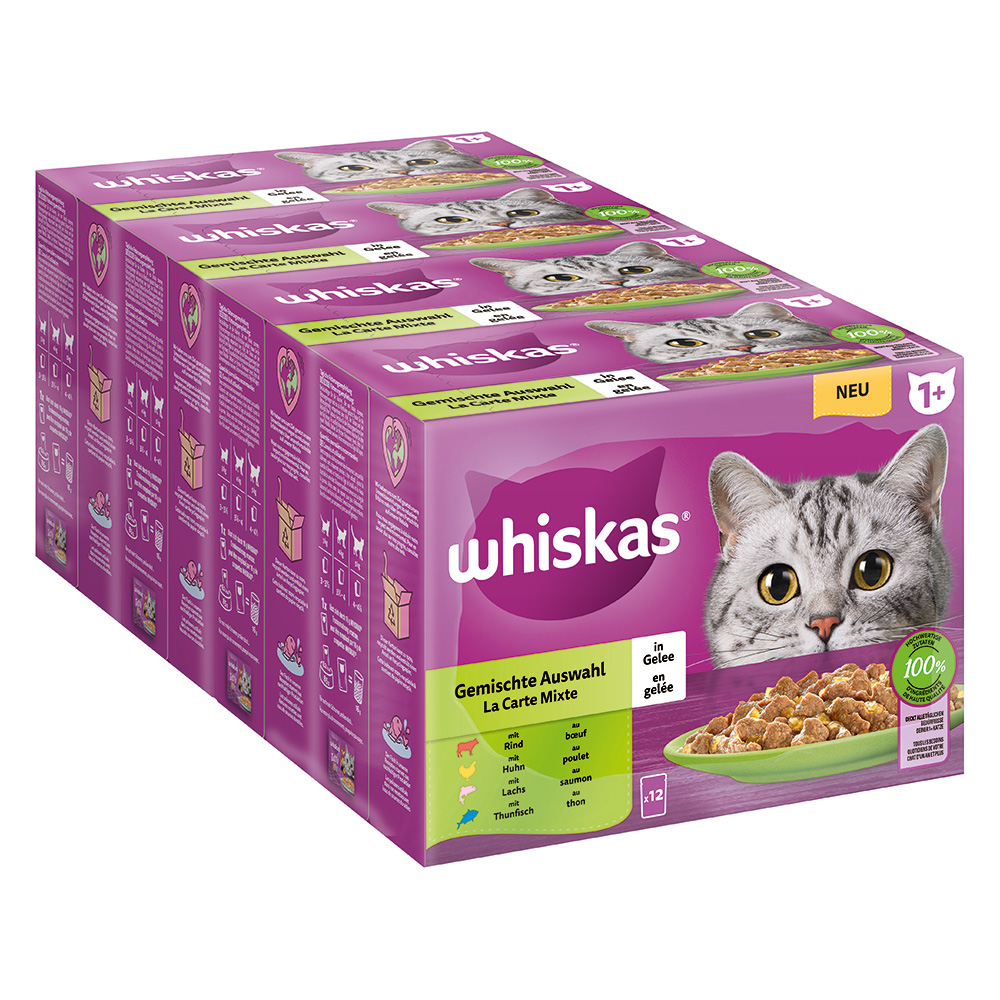 Pakiet Whiskas 1+ Adult, saszetki, 48 x 85 g - Pakiet mieszany w galarecie