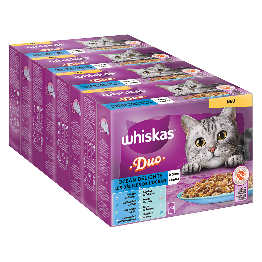 Megapakiet WHISKAS DUO, saszetki, 96 x 85 g - Ocean Delights w galarecie