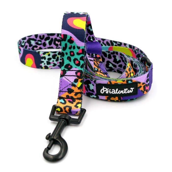 Smycz spacerowa miejska dla Psa Crazy Leopard, szerokość 2,5 cm, czarny karabińczyk  6cm-160 cm