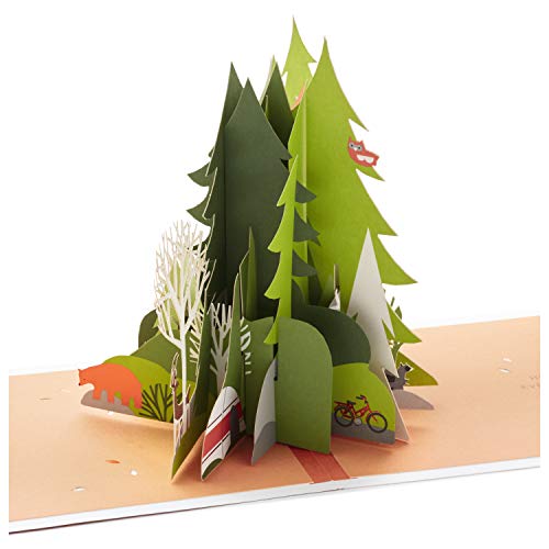 Hallmark Signature Paper Wonder Pop Up kartka urodzinowa (Adventure Awaits)