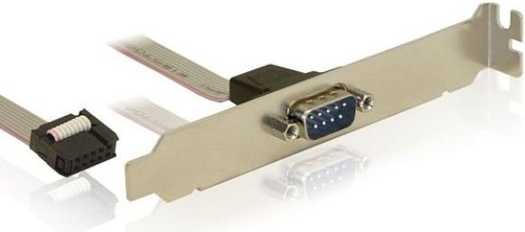 Delock 1 X D-Sub9 Slotblech port 4043619827688