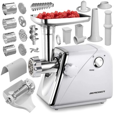 Berdsen BM-600