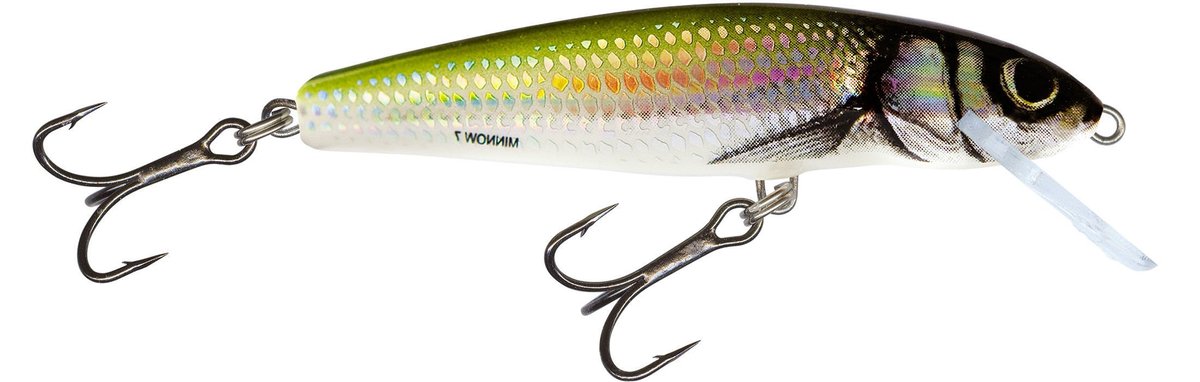 Salmo Wobler Minnow Sink 5cm/5g Holo Bleak