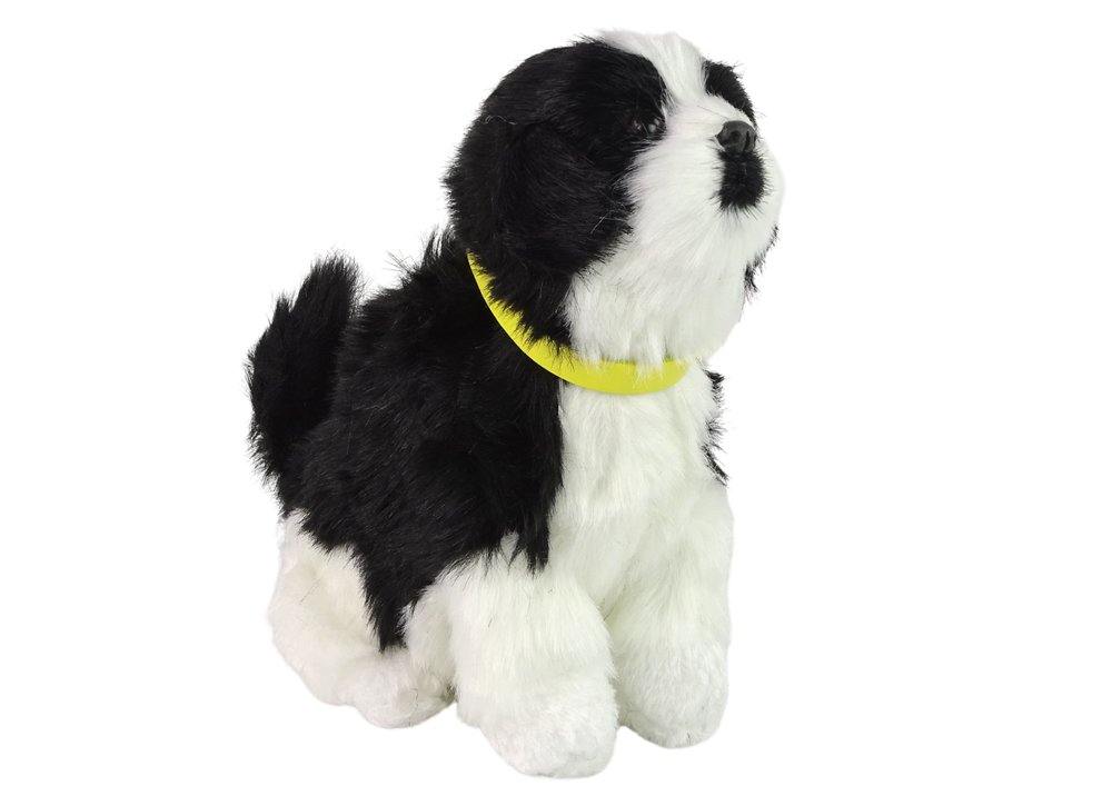 Pies interaktywny pluszowy Border Collie - Leantoys