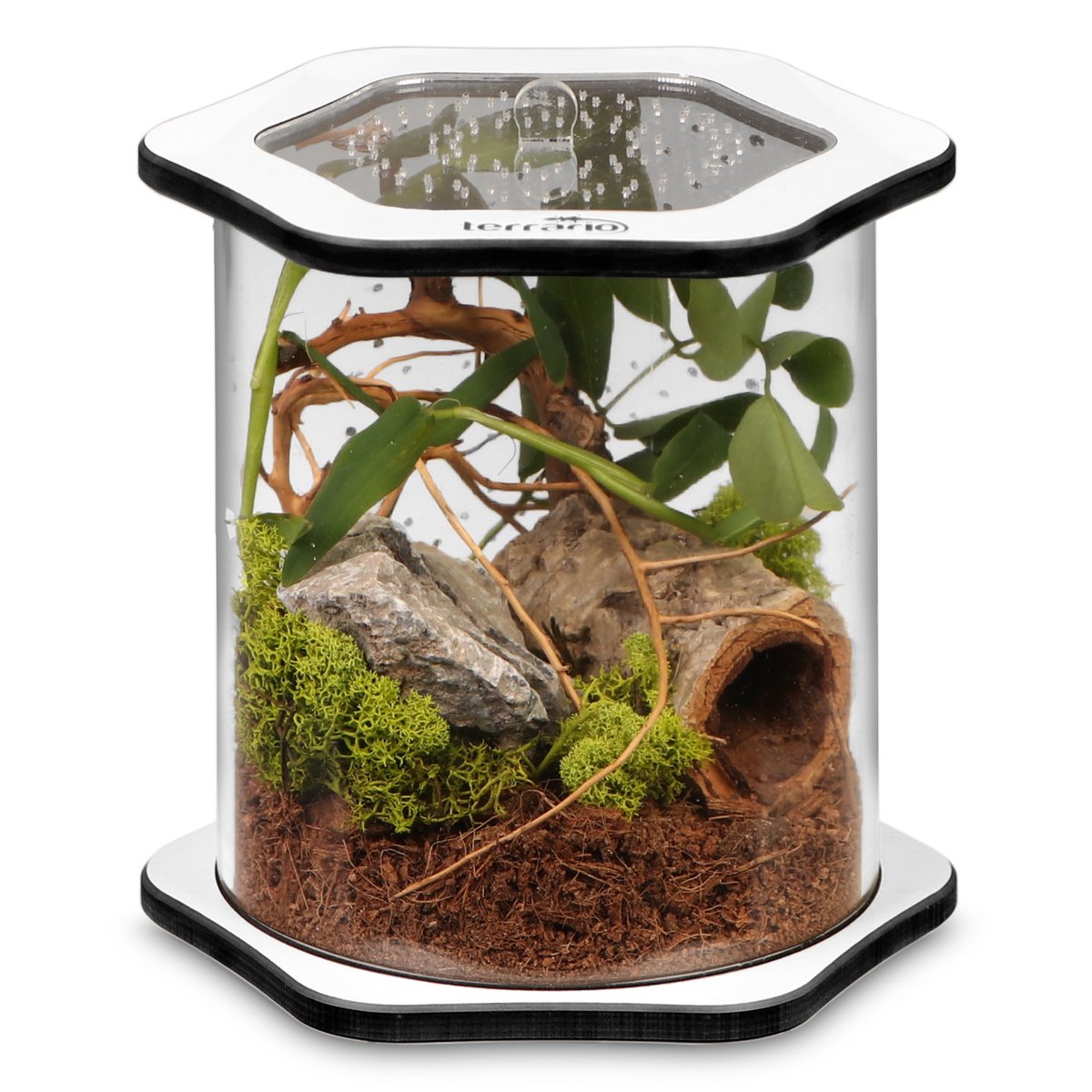 Terrario Spiders Tube Big150 - Terrarium Akrylowe