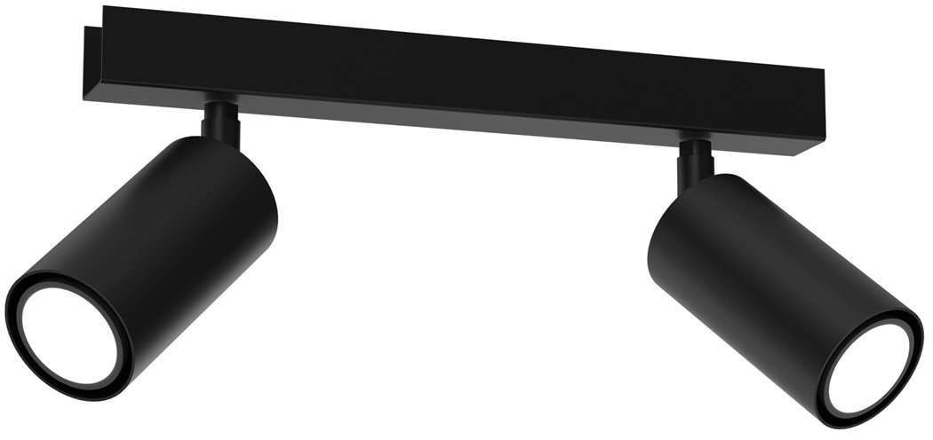 Lampa sufitowa HUDSON BLACK 2xGU10