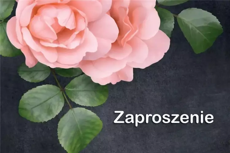 Zaproszenie Uniwersalne (10szt) - Trend