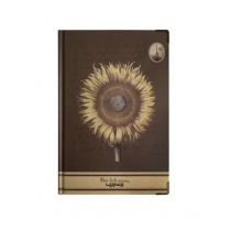 Ateneum Notes A5/96K linia Słonecznik