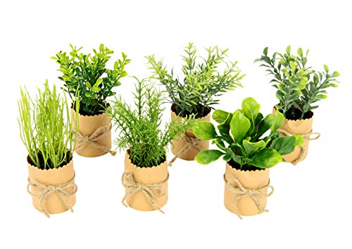 Sztuczny mini zioła asortyment w doniczkach z papieru, rośliny sztuczne sztuczne eukaliptus rozmaryn, szpinak tymiankowy, bazylia liszczypiorek, zioła ogrodowe, dekoracja do kuchni, zestaw 6 sztuk