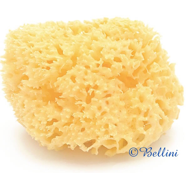 Tega Baby Baby Baby, Gąbka, Honeycomb, rozmiar 12