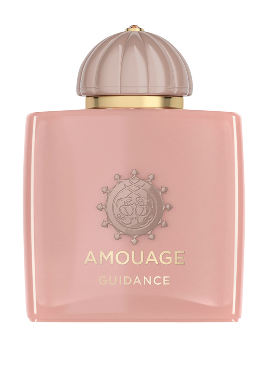 Amouage Guidance