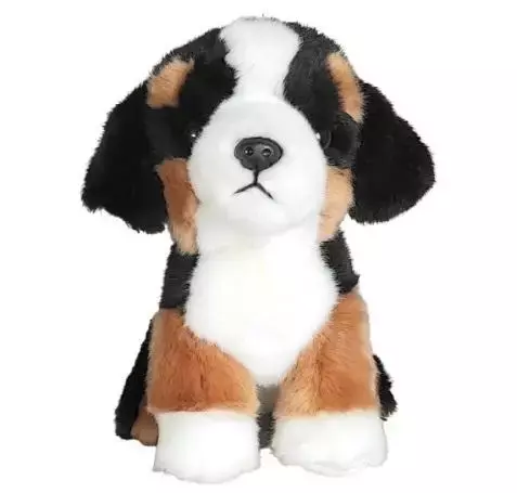 pies berneński 19cm