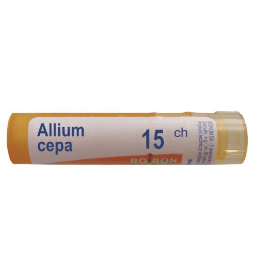Boiron Allium cepa, 15 CH, gran., 4 g,(MZ19140) 3846803