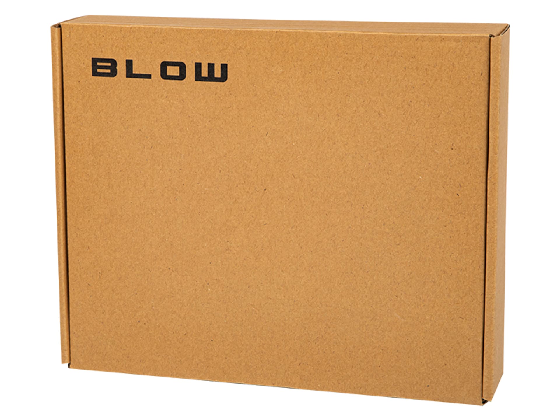 Switch 4 PoE×100Mbs 60W BL-SW6-4P