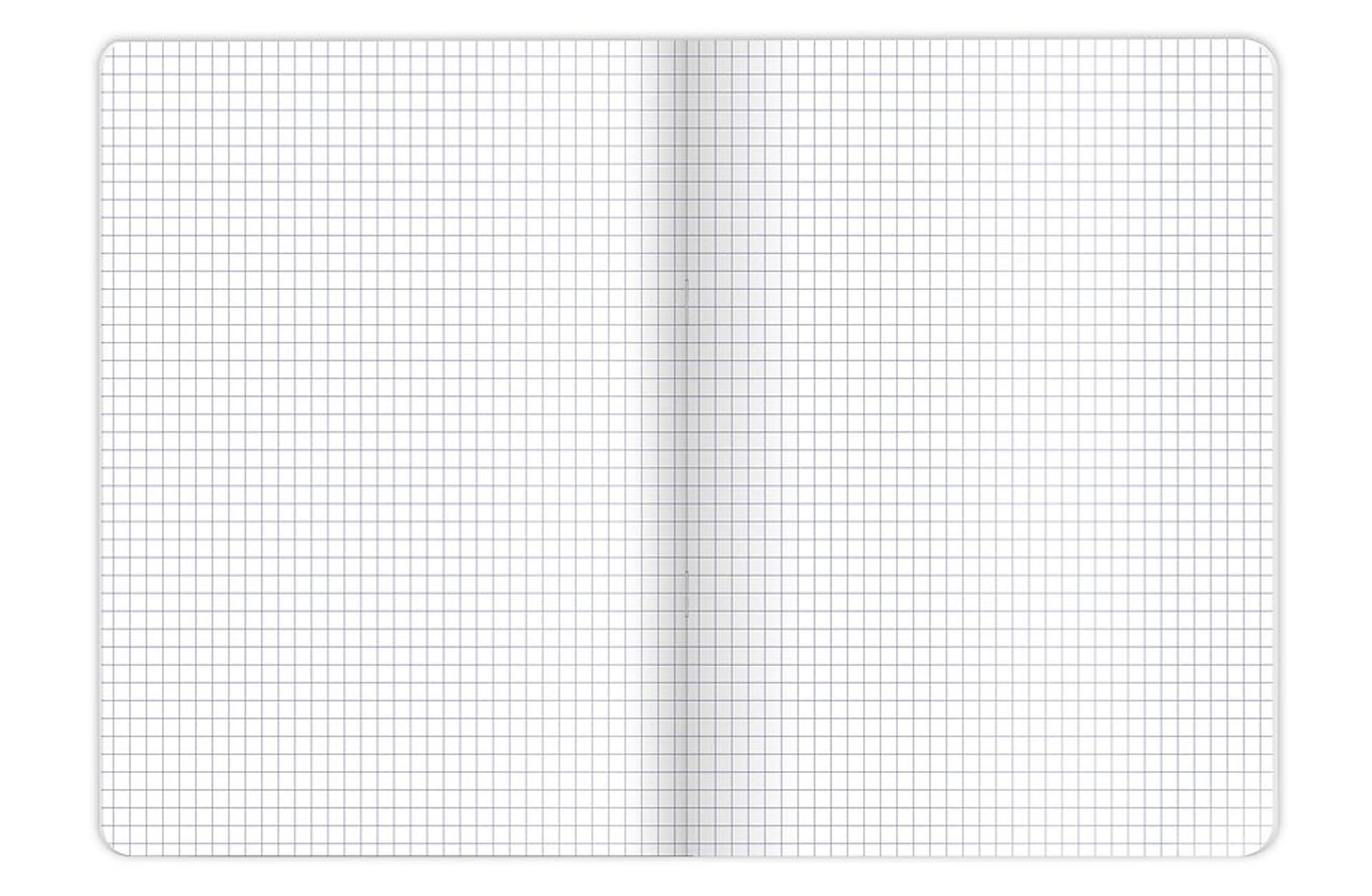 Zeszyt A5 16k kratka 70g BOOK/RETRO 400169369 TOP 2000