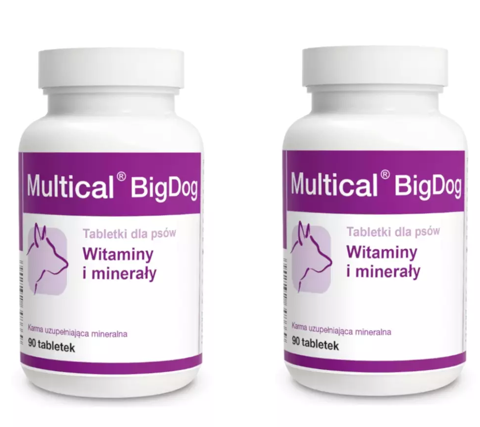 Dolvit Multical BigDog 2x90 tabletek