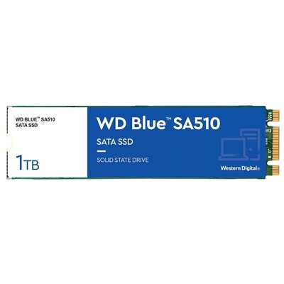 Dysk SSD WD Blue WDS100T3B0B (1 TB