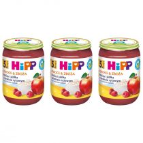 Hipp Owoce & Zboża Maliny i jabłka z kleikiem ryżowym po 5. miesiącu zestaw 3 x 190 g Bio