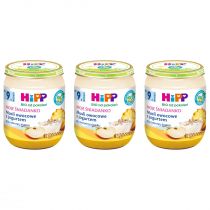 Hipp Moje Śniadanko Musli owocowe z jogurtem po 9. miesiącu zestaw 3 x 160 g Bio