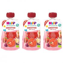 Hipp Smoothie Mus z owoców i soków po 1. roku jabłka-banany-truskawki-porzeczki zestaw 3 x 120 ml Bio