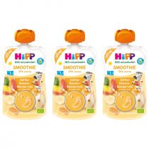 Hipp Smoothie Mus z owoców i soków po 1. roku jabłka-banany-mandarynki zestaw 3 x 120 ml Bio