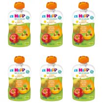 Hipp Mus owocowo-warzywny po 5. miesiącu jabłka-gruszki-dynia zestaw 6 x 100 g Bio