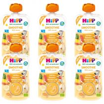 Hipp Smoothie Mus z owoców i soków po 1. roku jabłka-banany-mandarynki zestaw 6 x 120 ml Bio
