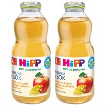 Hipp Herbatka z kopru włoskiego z sokiem jabłkowym po 4. miesiącu zestaw 2 x 500 ml Bio