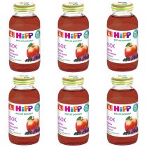 Hipp Sok 100% jabłka czerwone owoce po 4. miesiącu zestaw 6 x 200 ml Bio