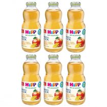 Hipp Herbatka z kopru włoskiego z sokiem jabłkowym po 4. miesiącu zestaw 6 x 500 ml Bio