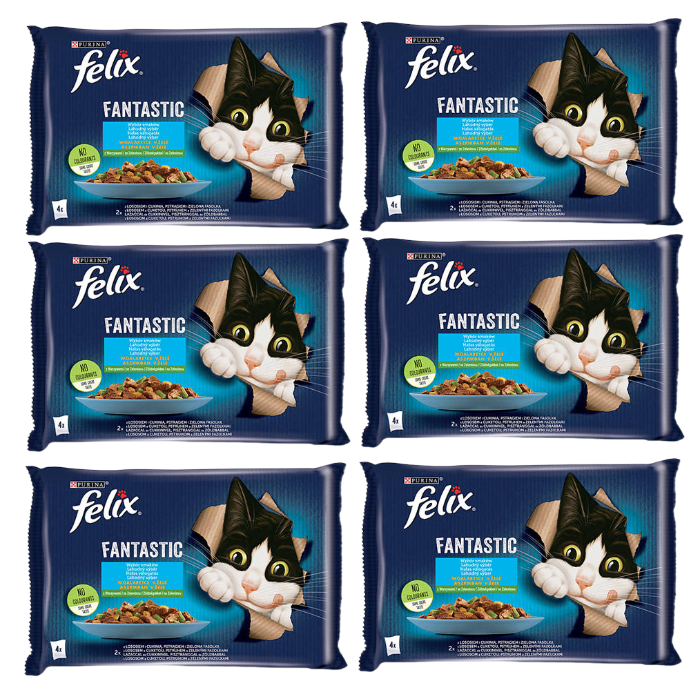 FELIX Fantastic Wiejskie Smaki w galaretce z łososiem i pstrągiem  12x(4x85g)