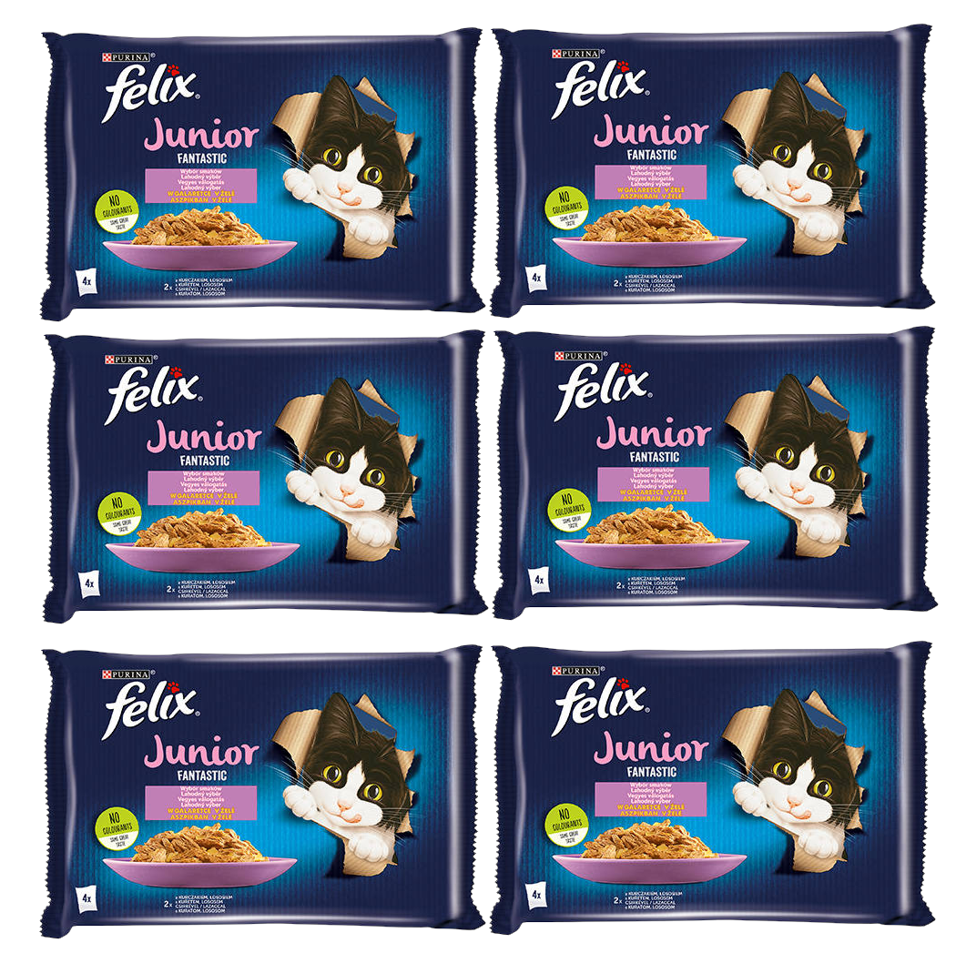 FELIX Fantastic Junior w galaretce z kurczakiem i łososiem 12x(4x85g)