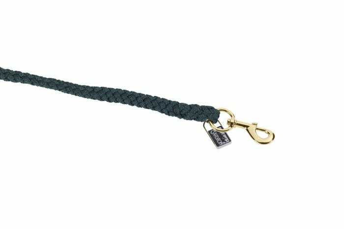 Eskadron Uwiąz SWIVEL HOOK STANDARD Brass - racinggreen