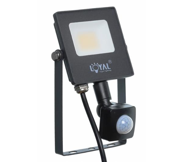 Loyal Lighting LY-FLES10 (S)